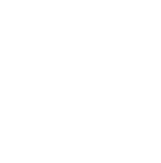 実績