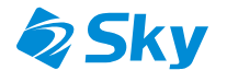 https://www.skygroup.jp/